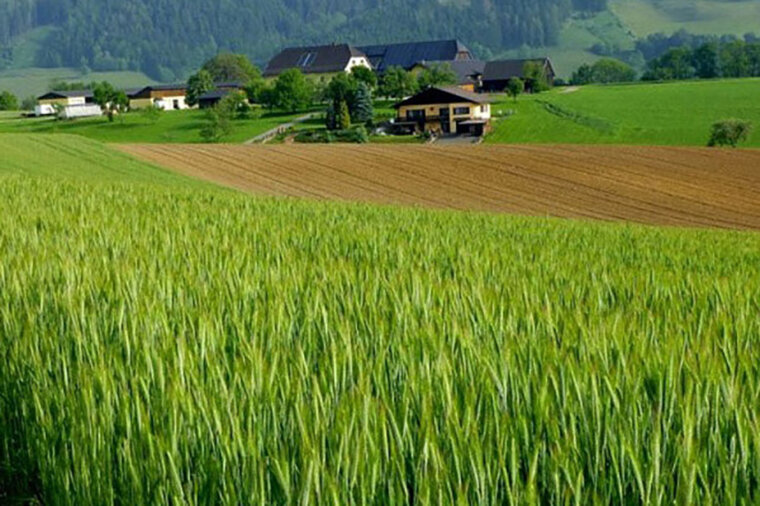 Bild Startseite Betrieb
